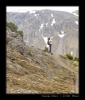 2008-06-08-Il_Fuorn_CH-15.jpg
