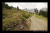 2008-06-08-Il_Fuorn_CH-25.jpg