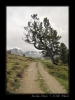 2008-06-08-Il_Fuorn_CH-26.jpg