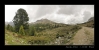 2008-06-08-Il_Fuorn_CH-64.jpg