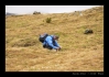2008-06-08-Il_Fuorn_CH-9.jpg