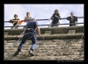 2009-05-22-24_Seleska09033.jpg