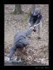 2008-02-17_Obora_Bystrc13.jpg