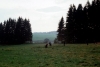 Vesela_72_005.jpg