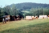 Vesela_72_007.jpg