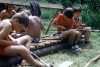 Vesela_72_031.jpg