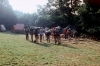 Vesela_72_046.jpg