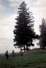 Vesela_72_049.jpg