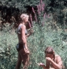 Vesela_72_069.jpg