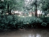 Vesela_72_092.jpg