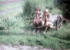Vesela_72_099.jpg
