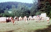 Vilimek_80_013.jpg