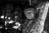 Vilimek_80_087.jpg
