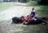 zeletavka_68_004.jpg