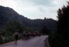 zeletavka_68_005.jpg