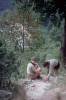 zeletavka_68_035.jpg