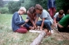 zeletavka_68_036.jpg