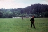 zeletavka_68_046.jpg