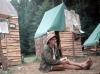 zeletavka_68_069.jpg