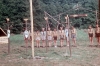 zeletavka_68_081.jpg