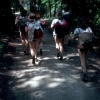 zeletavka_68_106.jpg