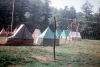 zeletavka_68_113.jpg