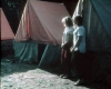 zeletavka_68_116.jpg