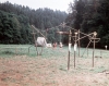 zeletavka_68_119.jpg