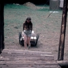 zeletavka_68_124.jpg