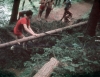 zeletavka_68_125.jpg