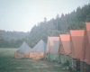 zeletavka_68_129.jpg