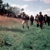 zeletavka_68_132.jpg
