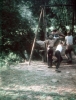 zeletavka_68_138.jpg