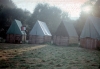 zeletavka_68_139.jpg