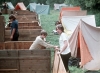 zeletavka_68_175.jpg