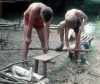 zeletavka_68_178.jpg