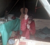 zeletavka_68_180.jpg