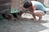 zeletavka_68_183.jpg