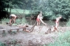 zeletavka_68_184.jpg