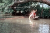 zeletavka_68_185.jpg