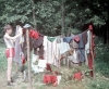 zeletavka_68_189.jpg