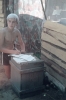 zeletavka_68_198.jpg