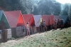 zeletavka_68_215.jpg