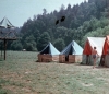 zeletavka_68_219.jpg