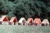 zeletavka_68_231.jpg