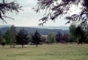 Zubri_tridenak_003.jpg