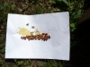 083-tabor-2011-08-05.jpg