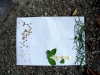 091-tabor-2011-08-05.jpg