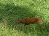 015-tabor-2011-08-15.jpg