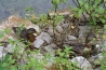 082-primestsky_tabor.JPG
